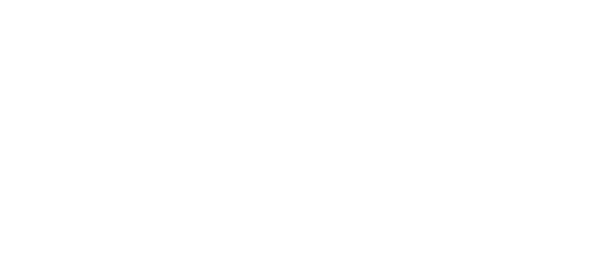 Pro Spin Cue Tips